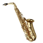 Yanagisawa AW01 Professional Alto Saxophone