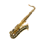 Selmer Super Action 80 Series II Tenor Sax