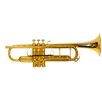Yamaha YTR-9335CH II Gold Plated Chicago