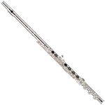 Powell Sonare 501 Flute