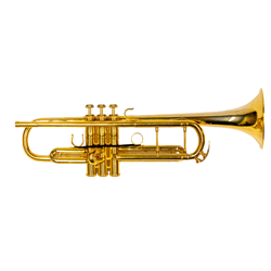 Yamaha YTR-9335CH II Gold Plated Chicago