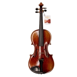 Maple Leaf 4/4 Violin Outfit MLS3100 Master Linn